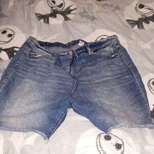 Terra & Sky Classic Blue Jeans